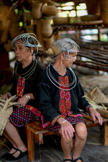 MDV Elite Camp. Фото 71