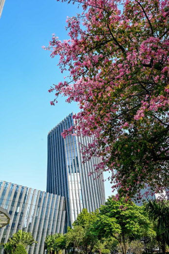 MDV Elite Camp. Фото 53