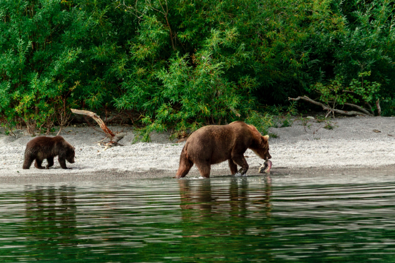 MDV Elite Camp. Фото 25
